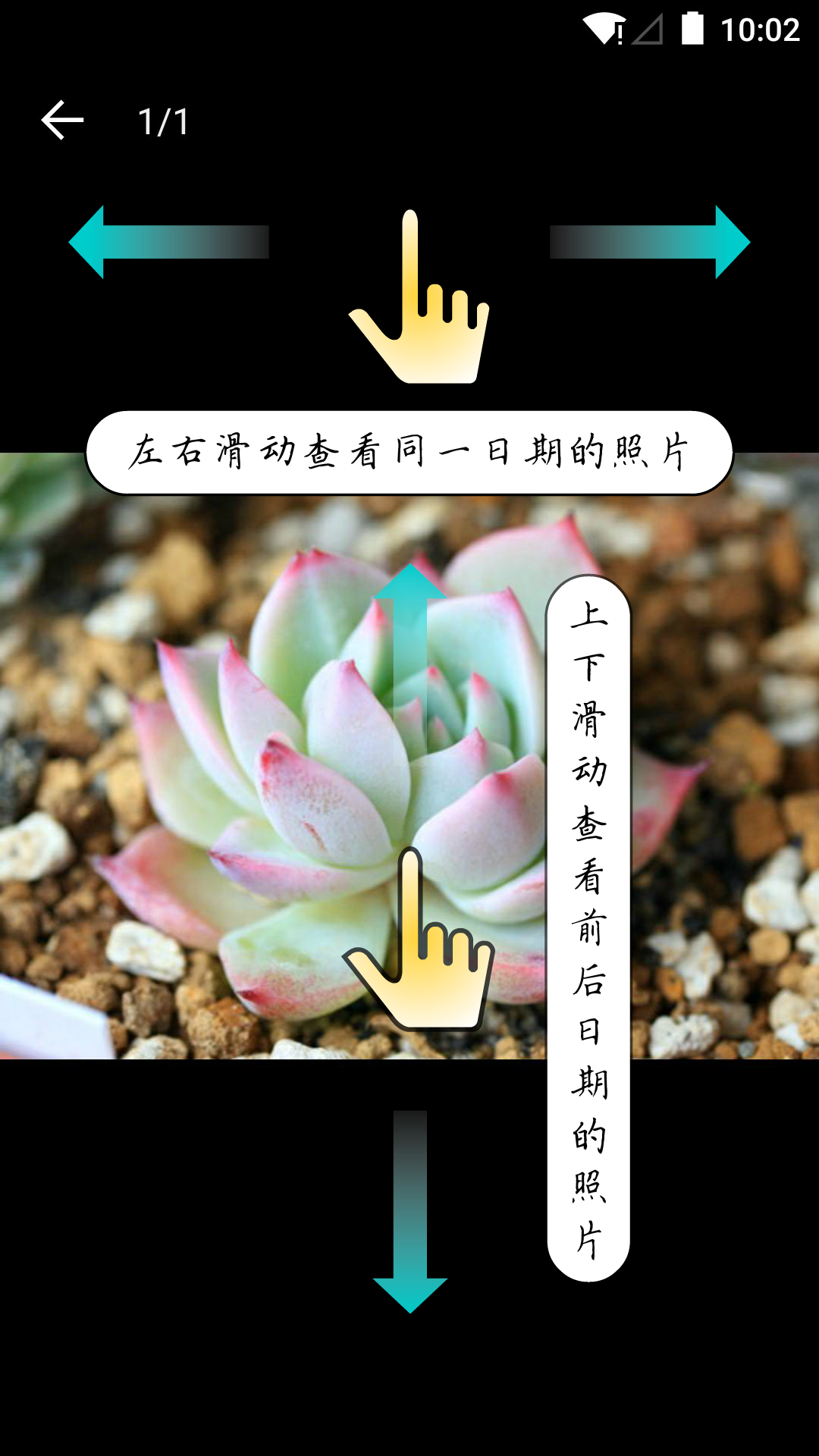 多肉成长记APP截图