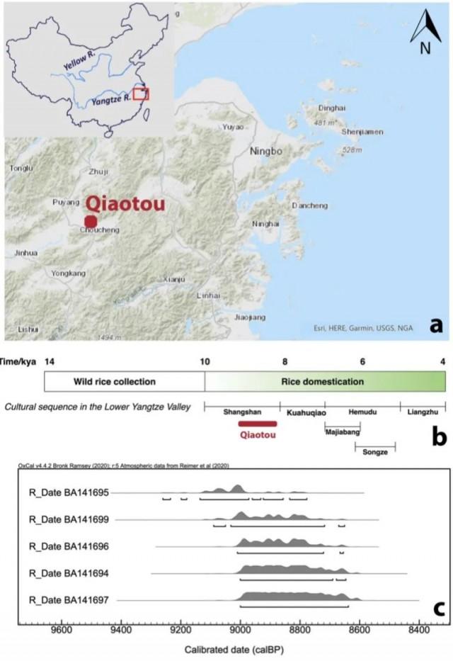 9千年前南方人喝啤酒证据被发现是怎么回事