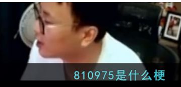 810975是什么梗