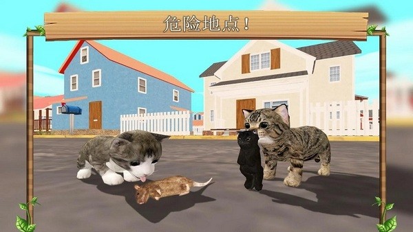 Cat Sim Online Play with Cats