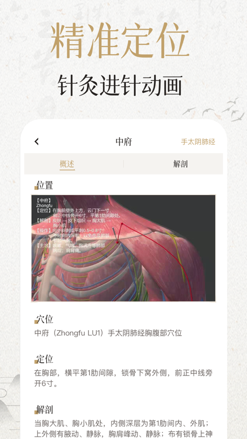 中济经络穴位app