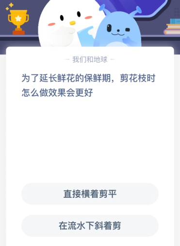 为了延长鲜花的保鲜期，剪花枝时怎么做效果会更好？