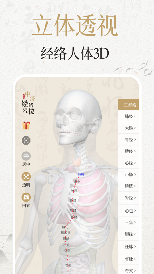 中济经络穴位app
