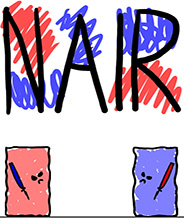 NAIR