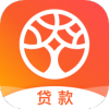 榕树贷款app