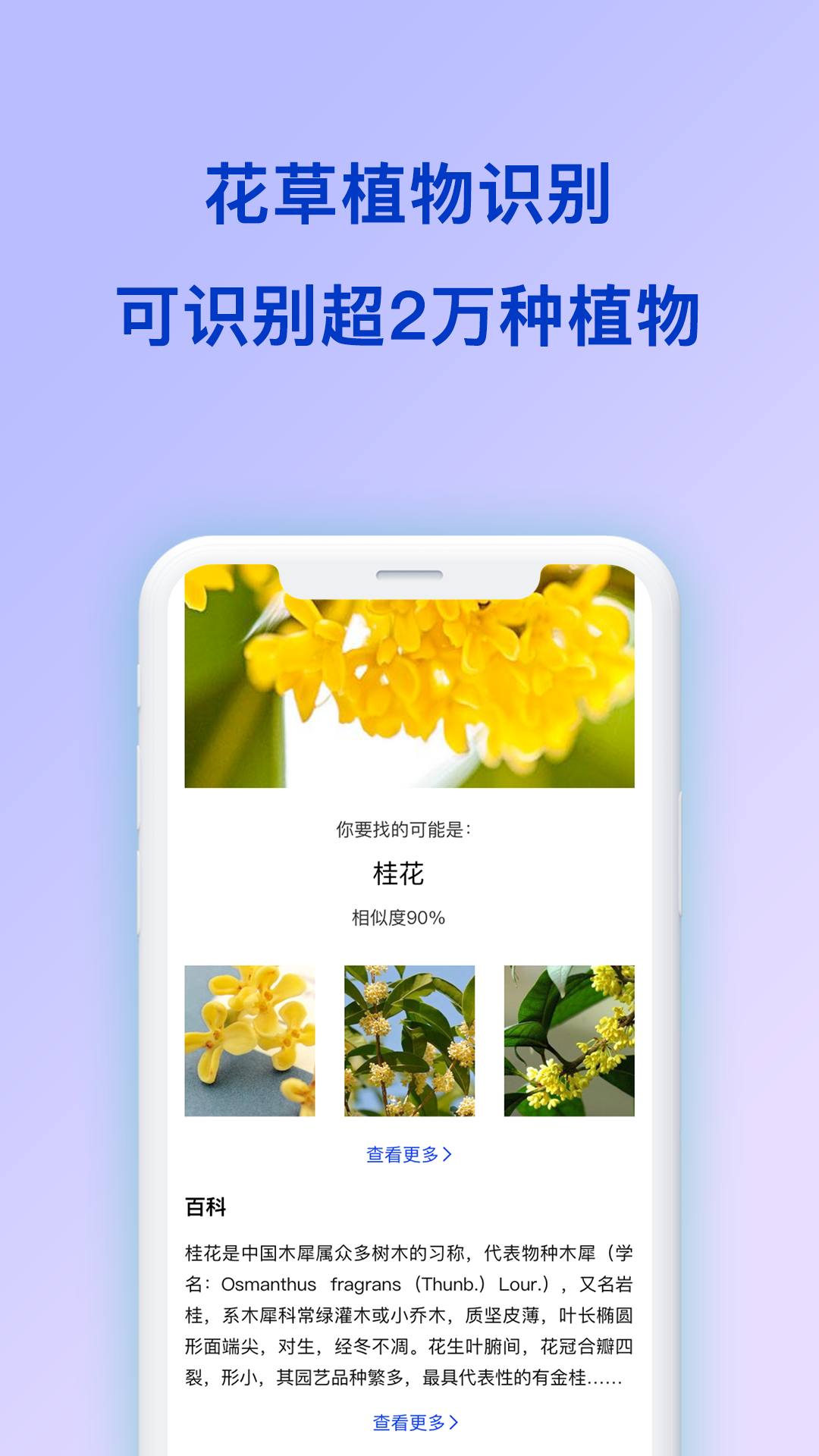 扫描识图appAPP截图