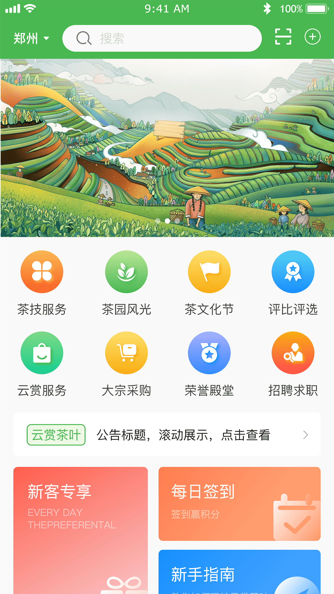 云赏信阳毛尖