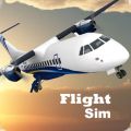 Flight Sim 2021手游