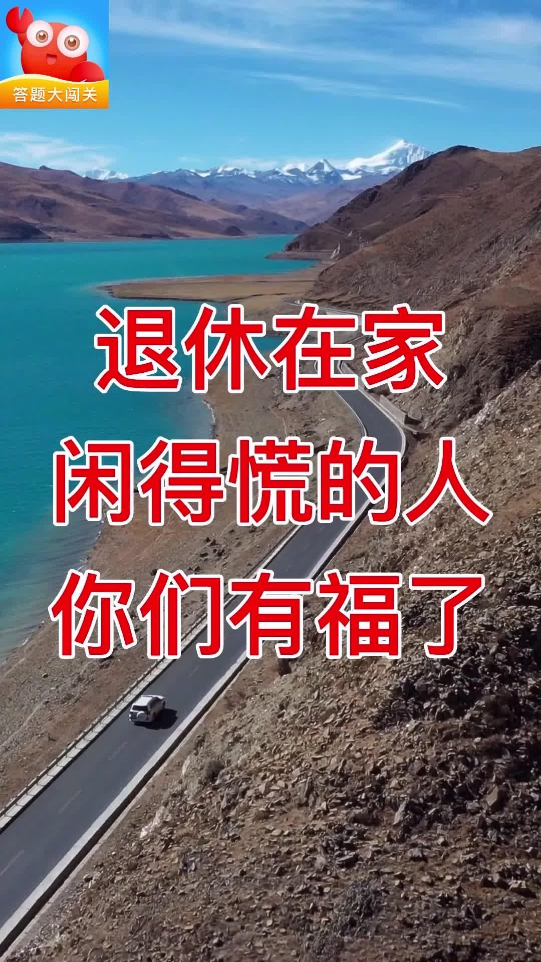 铲车冲冲冲红包版