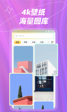 炫彩桌面壁纸大全APP截图