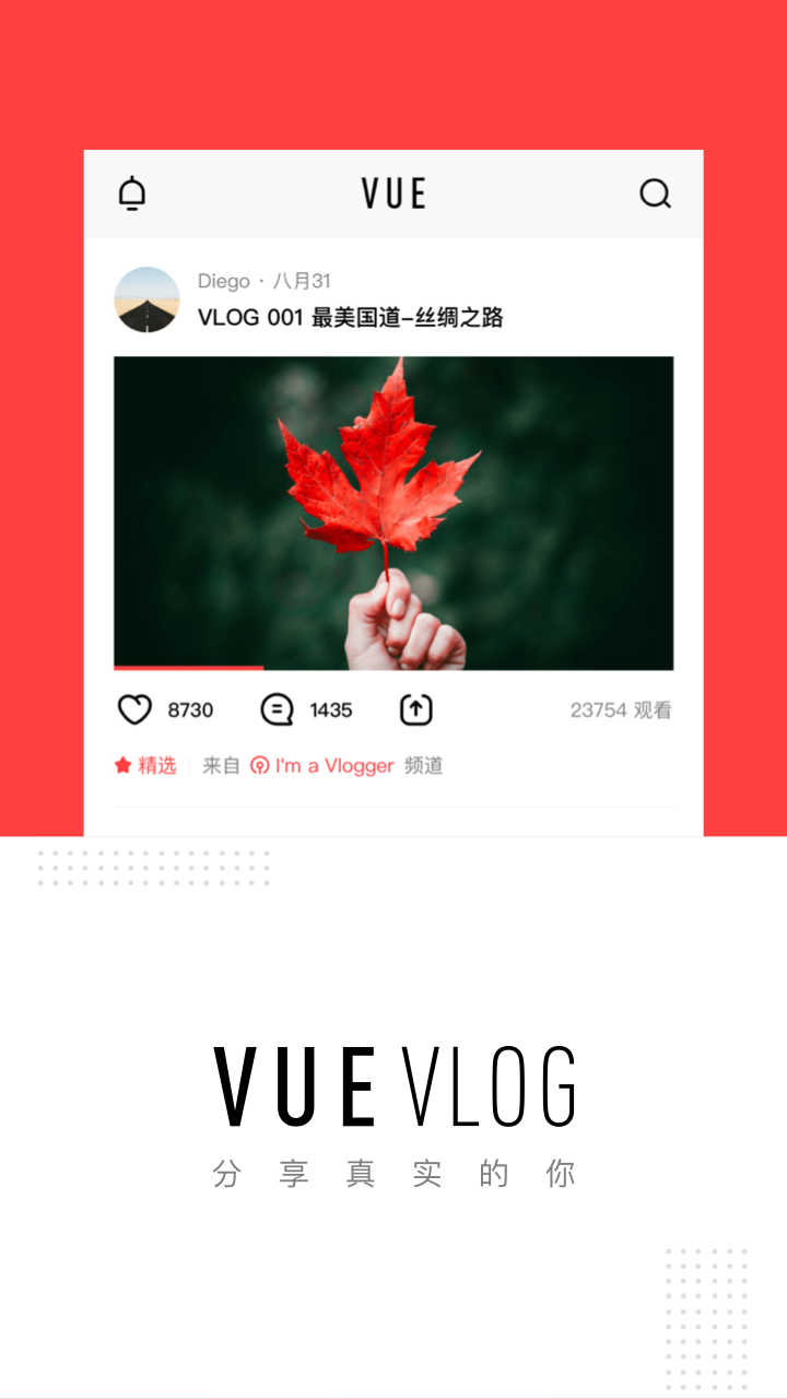 VUE Vlog去水印