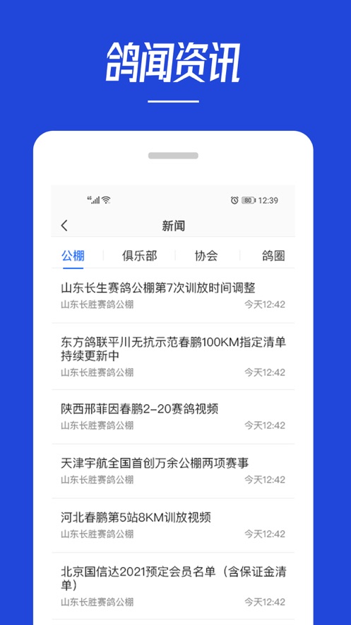 青鸽网app