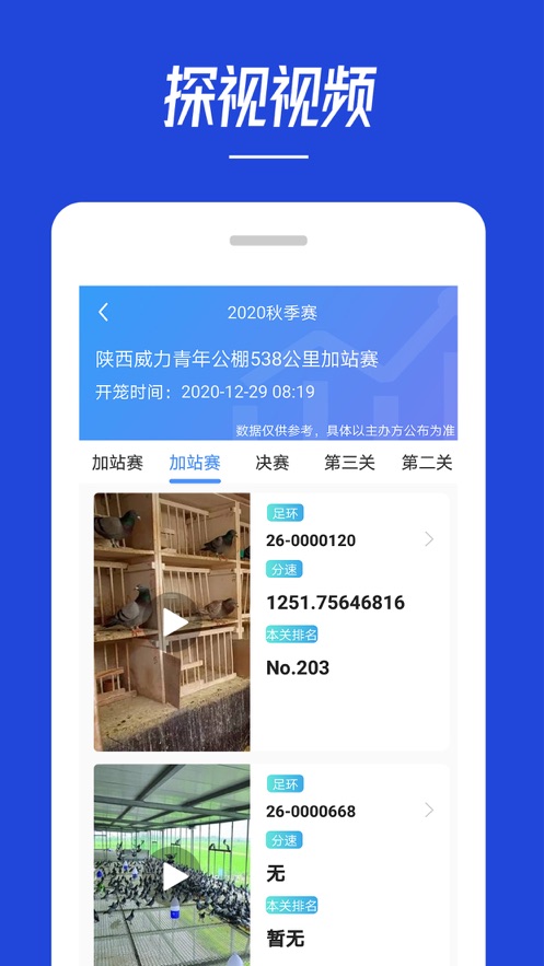 青鸽网appAPP截图