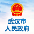 武汉市人民政府APP图标