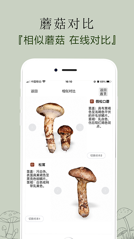 菌窝子(识别蘑菇)APP截图