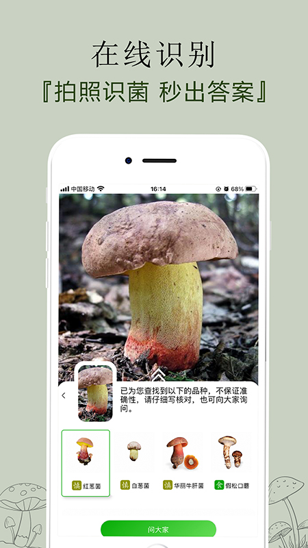 菌窝子(识别蘑菇)APP截图