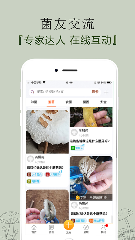 菌窝子(识别蘑菇)APP截图