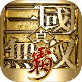 真三国无双霸测试版软件APP图标