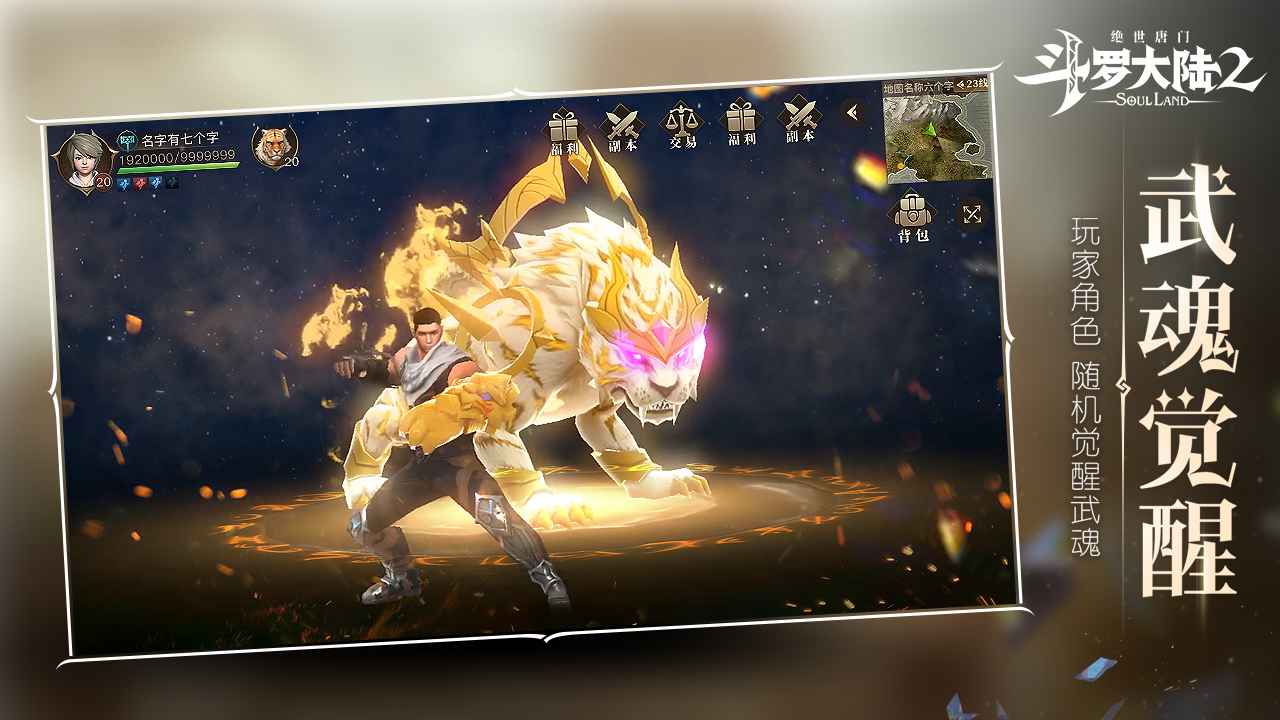 斗罗大陆2绝世唐门双生武魂版