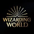 Wizarding World