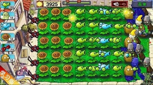 植物大战僵尸teamtop3移植版