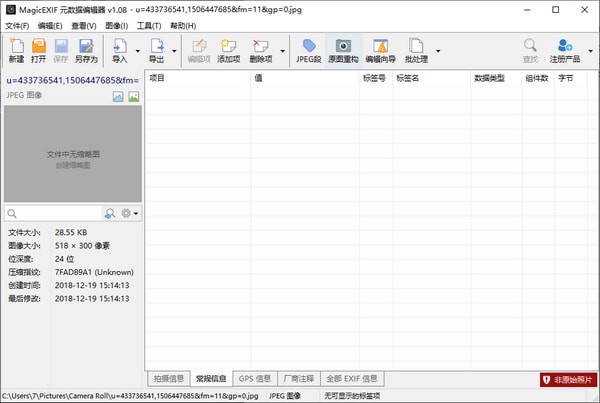 magicexif元数据编辑器专业版破解版截图1