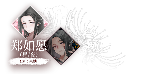 二师兄网5