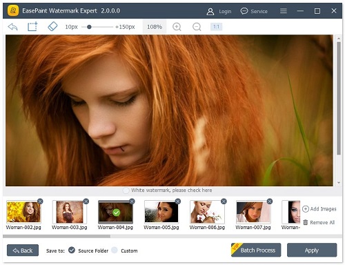 EasePaint Watermark Expert特色