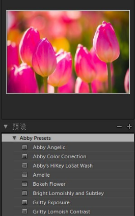 Adobe Photoshop Lightroom免费版常见问题截图