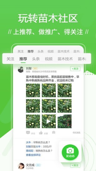 苗木通APP截图