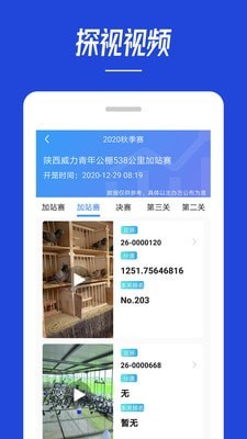 青鸽网APP截图