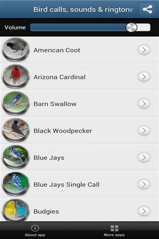 Bird Calls Sounds  Ringtones