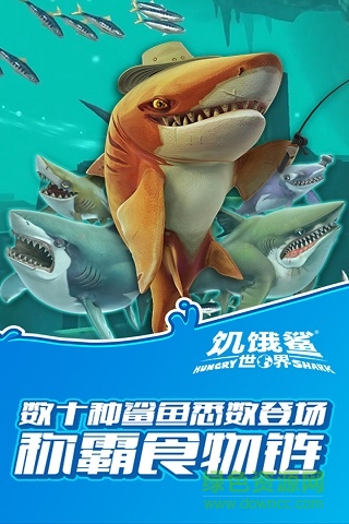 hungry shark world内购破解版