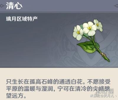 二师兄网2