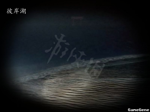 二师兄网15