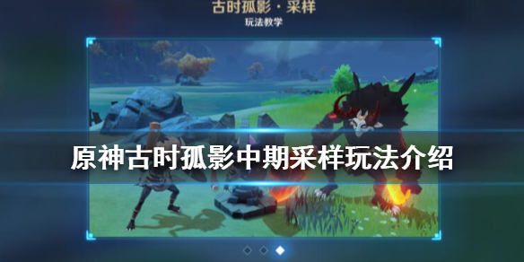 二师兄网1