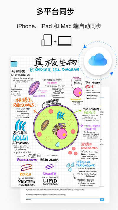 GoodNotes50元是不是永久的