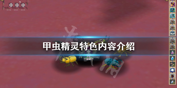 二师兄网1