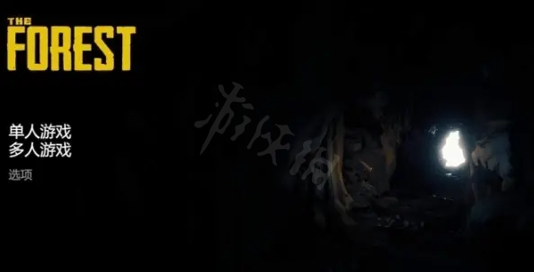 二师兄网2