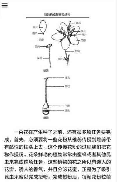 野外植物识别手册