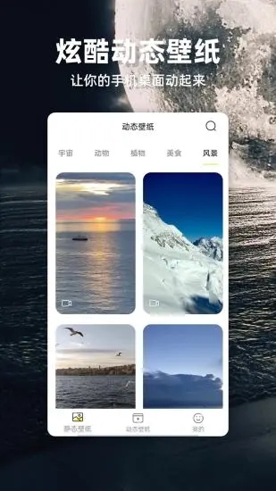 苹果壁纸app下载APP截图