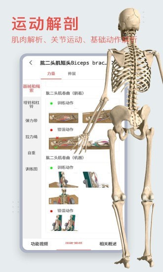 3Dbody艺用APP截图