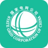 网上国网APP图标