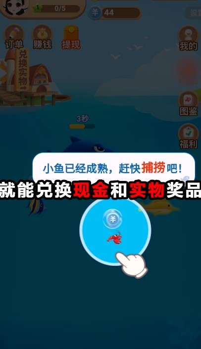 阿伦的鱼塘app