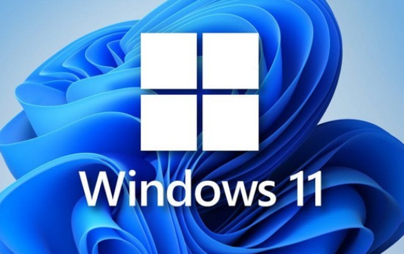 如何设置windows11鼠标滑轮行数？有时滑动鼠标总是