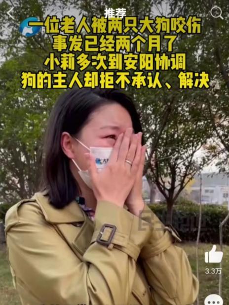 把小莉为难哭的狗主人想和解是怎么回事