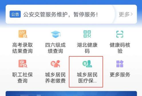 2022鄂汇办医疗保险怎么交？鄂汇办代缴城乡居民医疗保险教程[多图]图片1