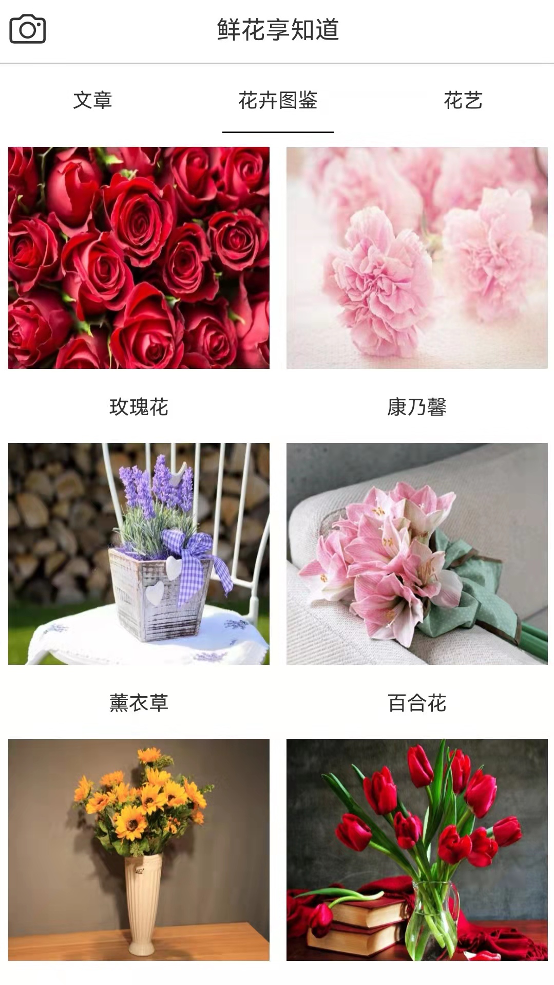 鲜花助力物理app