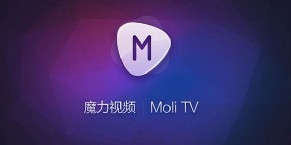 魔力万能播放器tv版截图