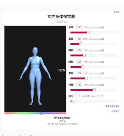 男性身体可视化修身工具中文版游戏截图